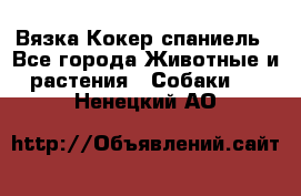 Вязка Кокер спаниель - Все города Животные и растения » Собаки   . Ненецкий АО